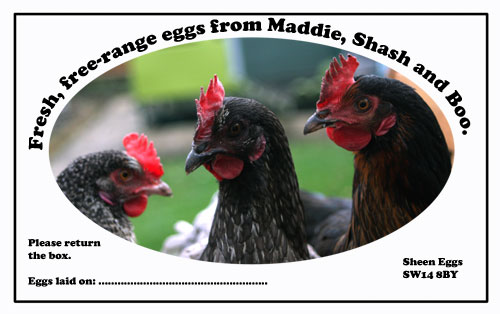 chickens-egg-label.jpg