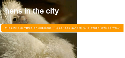 hens-inthe-city.jpg